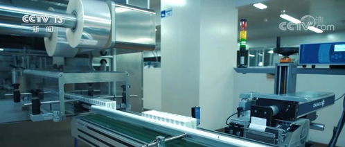 公共就業(yè)服務(wù)延伸至高校 科技中介服務(wù)助力畢業(yè)生高質(zhì)量就業(yè)