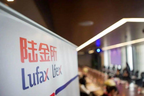 陸金所上市背后 金融科技獨角獸的金融中介本質